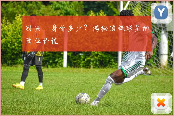 孙兴慜身价多少?揭秘顶级球星的商业价值